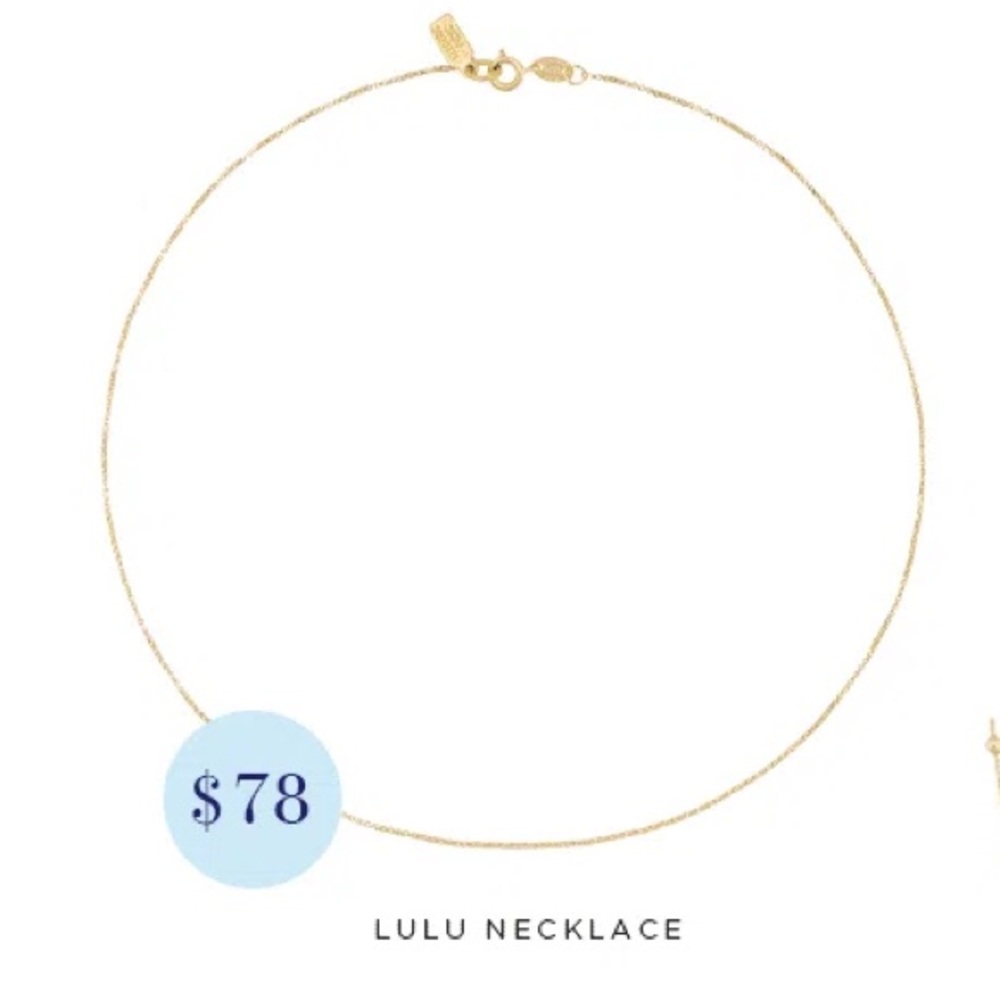 Electric Picks Megan Roup x The Sculpt Society Lulu Necklace